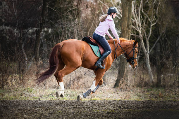 istock Young girl riding a horse 1374717700
