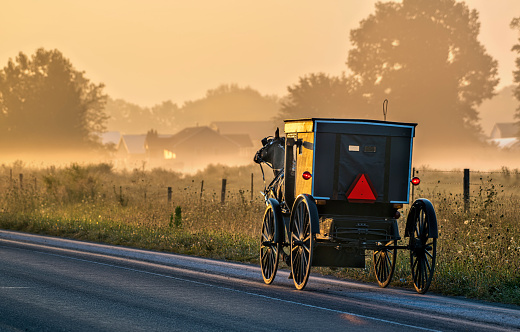 Amish buggy and Morning Fog