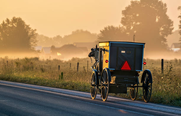 Amish buggy and Morning Fog Amish buggy on rural Indiana road, and Morning Fog Amish stock pictures, royalty-free photos & images