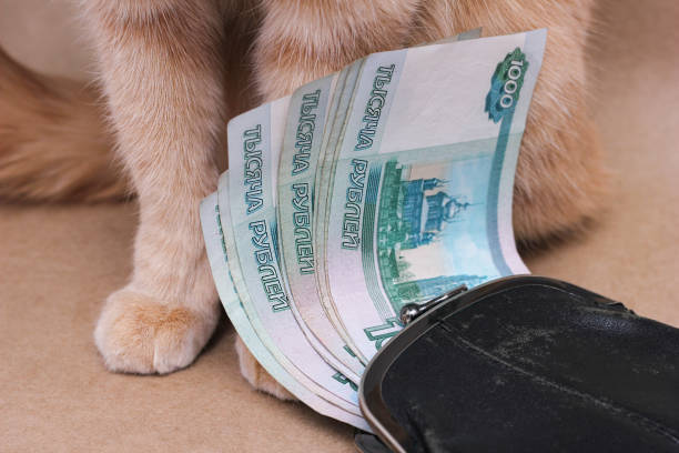 istock Wealth. Savings. A red-haired cat next to Russian banknotes worth 1000 rubles. 1374728948