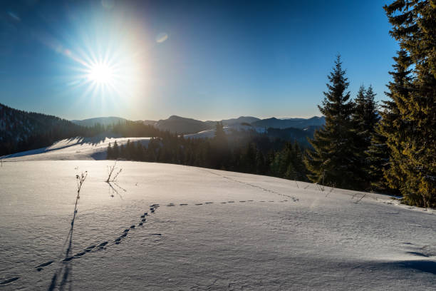 istock Sun over snowy white landscape in winter mountains 1374742674