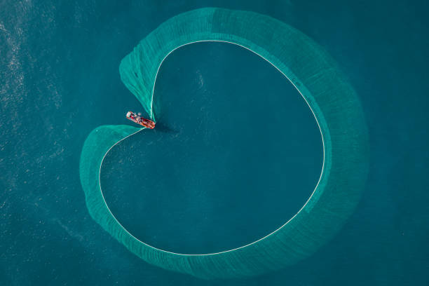 Netting anchovies Drone view of fishing boat is netting  anchovies on the sea in sunrise, Phu Yen province, central Vietnam freshwater fishing stock pictures, royalty-free photos & images