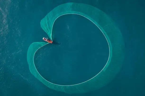 Drone view of fishing boat is netting  anchovies on the sea in sunrise, Phu Yen province, central Vietnam