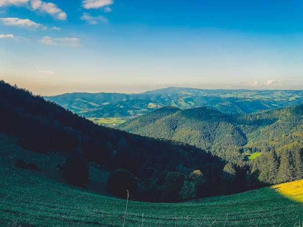View of the valley in the Black Forest in Germany.