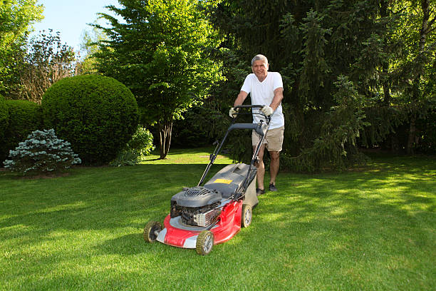 istock Middle aged man is working with the lawn mover. 137475389