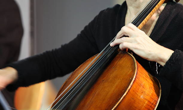 istock At the concert..musician playing cello 137475449