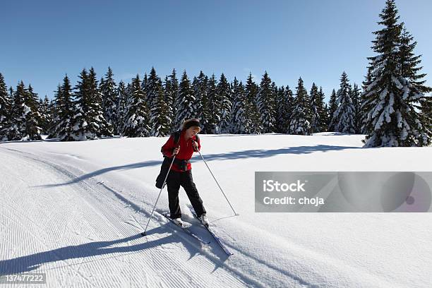 Ski Runner Na Piękny Zimowy Dayrogla Słowenia - zdjęcia stockowe i więcej obrazów Biegi narciarskie - Biegi narciarskie, Chłodny, Dorosły