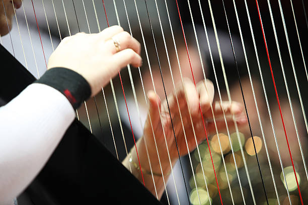 istock Harpist playing at concert...orchestra in the back 137477468