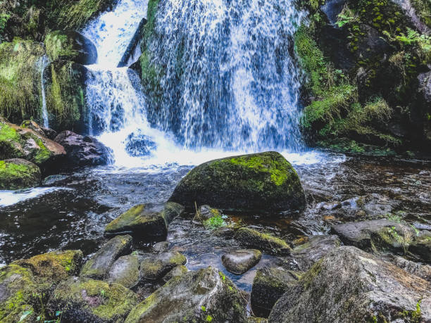 istock A waterfall in the Black Forest in Germany. 1374784264