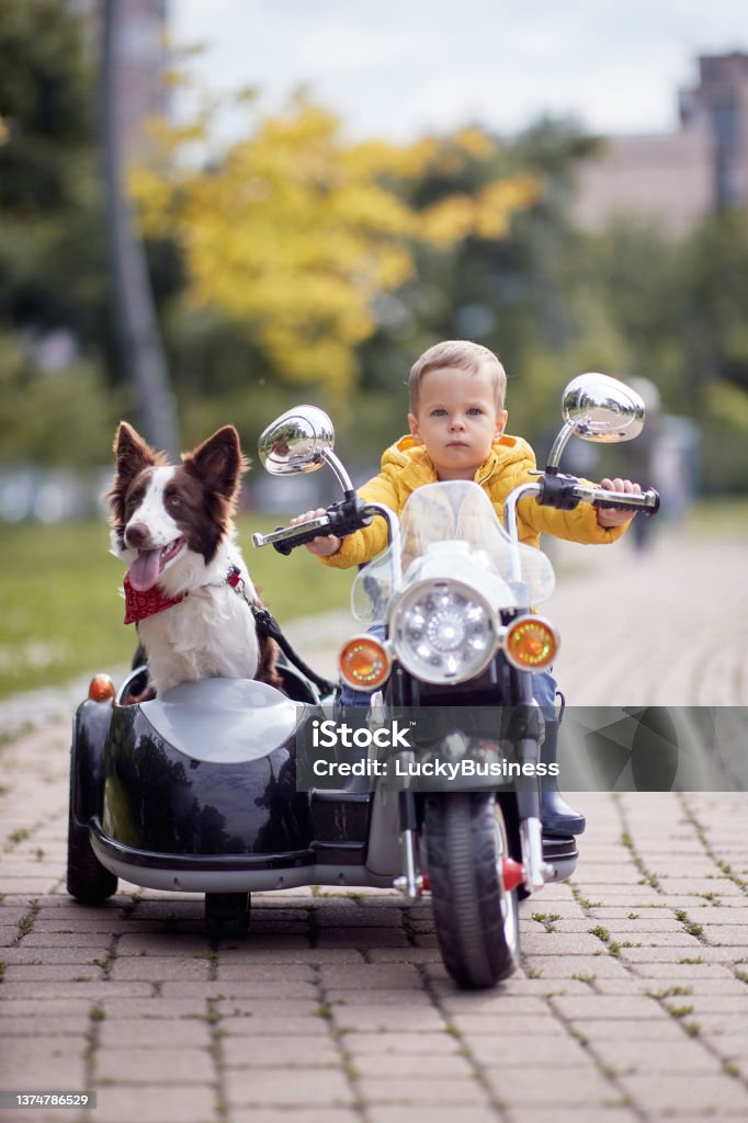 Happy little boy driving a toy motorcycle Happy little boy driving a toy motorcycle with his dog in a park Motorcycle Stock Photo
