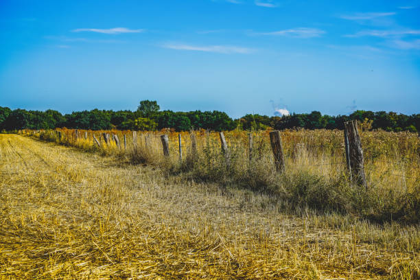 A very dry field in summer.