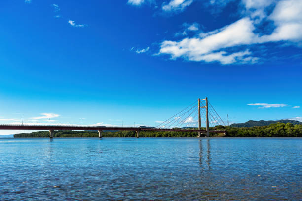 istock Bridge Puente La Amistad on Tempisque River, Costa Rica 1374787655