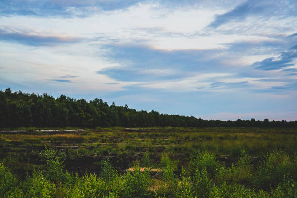 A field in the moor area with cloudy skies.