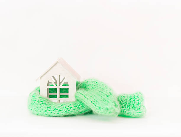 istock white house in a green scarf on a white background 1374789048
