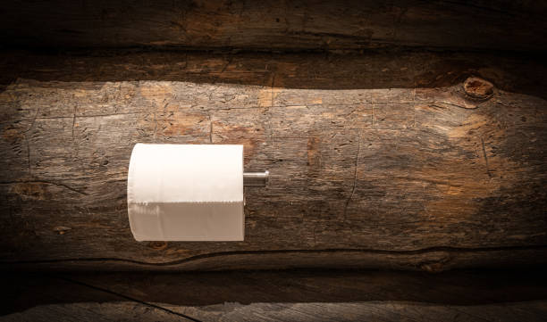 Toilet paper roll on holder against rustic wood trunk wall background. Ecological concept.