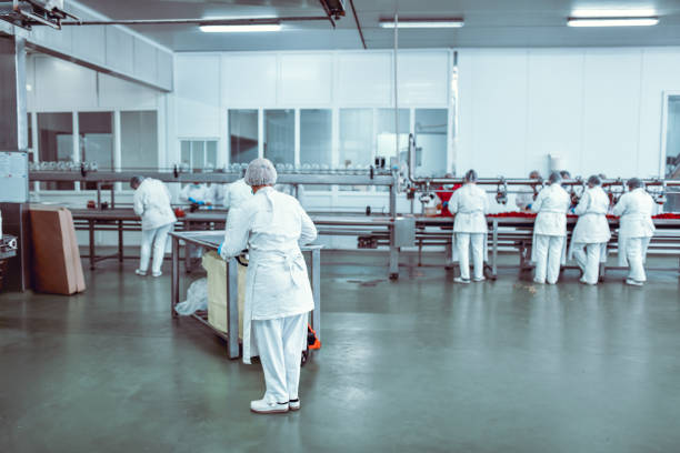 spicy chips, hot chips are on the conveyor, snack factory, hot chips production