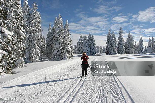 Skiläufer Auf Einem Schönen Winter Dayrogla Slowenien Stockfoto und mehr Bilder von Fotografieren