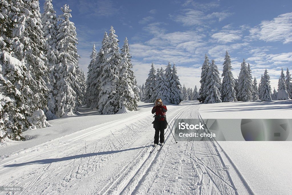 Corredor de esqui no Inverno de bonito day.Rogla, Slovenia - Royalty-free Esqui Nórdico Foto de stock