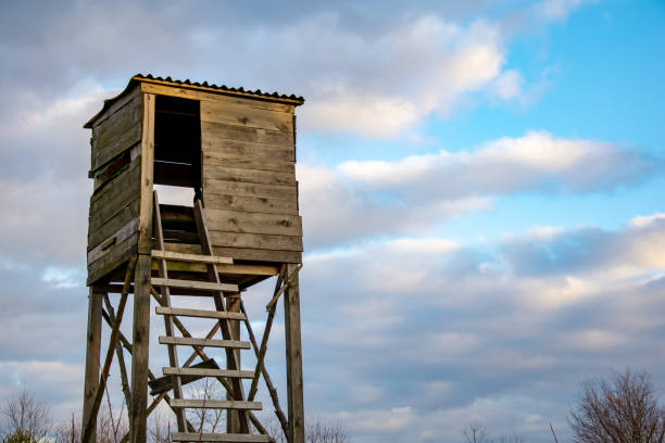 istock wooden hunter's pulpit against the sky 1374876218