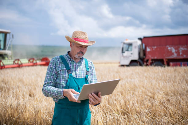 istock Senior farmer standing in the field and using laptop. 1374876287
