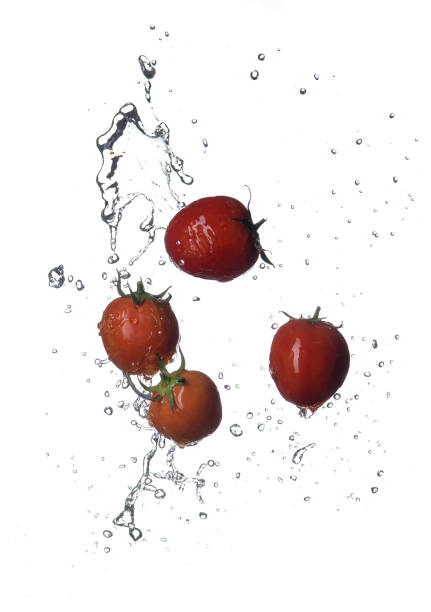 istock Fresh red Tomatoes in splash of water Isolated on white background 1374886196
