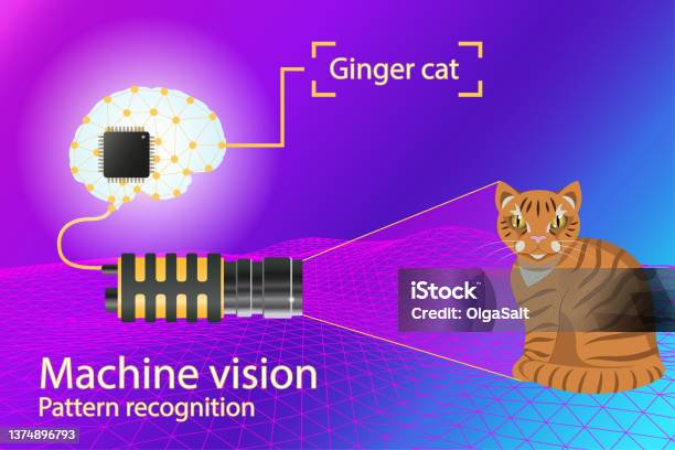 Vector Infographic Computer Vision And Pattern Recognition Stock ...