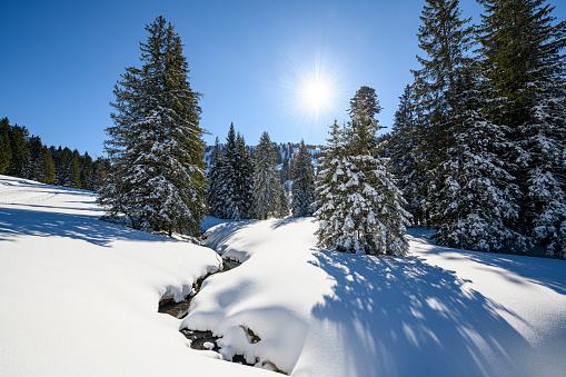 Winter landscape with snow covered trees and a winding small stream at the border between Austria and Germany. Hochhaederich, Vorarlberg