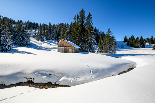Winter landscape with snow covered trees and a small stable at the border between Austria and Germany. Hochhaederich, Vorarlberg