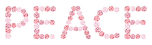 istock Word Peace, red and pink rose font on white background 1374913518