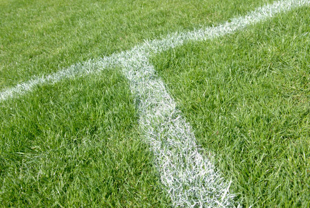 playing field - soccer soccer field grass american football stock-fotos und bilder