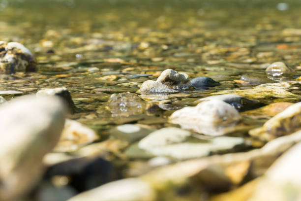 istock Stones and pebbles in shallow water with gentle wave action 1374933895