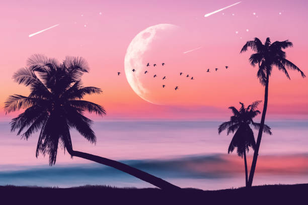 istock Silhouette palm tree at tropical night beach and full moon with birds flying on sunset sky abstract background. Nature environment and travel freedom concept. 1374970150