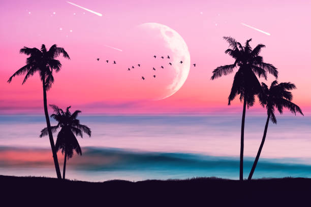 istock Silhouette palm tree at tropical night beach and full moon with birds flying on sunset sky abstract background. Nature environment and travel freedom concept. 1374970163