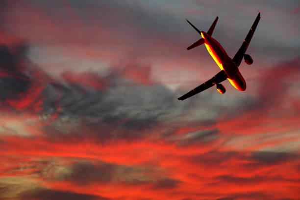 Plane is flying while the sun is setting