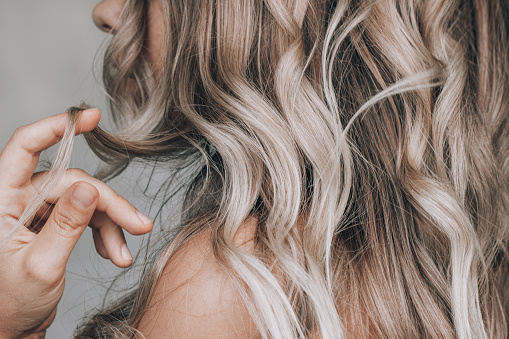 A young blonde woman with the wavy hair holding a lock of hair in his hand isolated on a gray background. Result of coloring, highlighting, perming. Beauty and fashion
