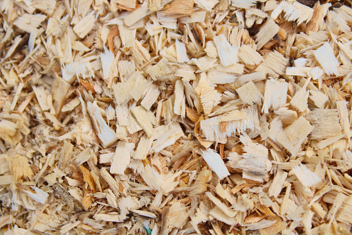 Wood sawdust. Top view. Close-up. Background. Texture.