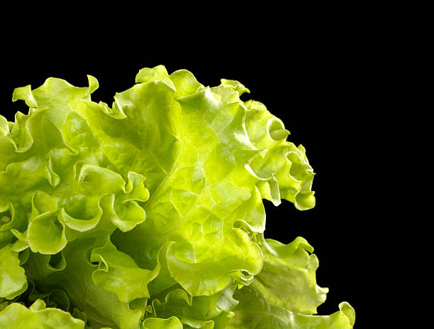 istock Green salad isolated on the black background 137503380