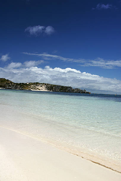 istock Rottnest Island 137503586