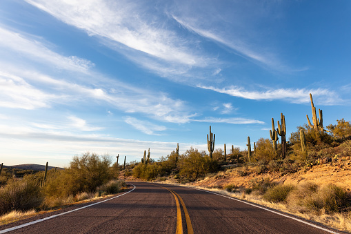 Scenic road through the Sonoran Desert with Saguaro Cactus and blue sky in Phoenix, Arizona.