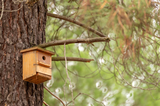 istock Small wooden birdhouse for nesting birds 1375062249