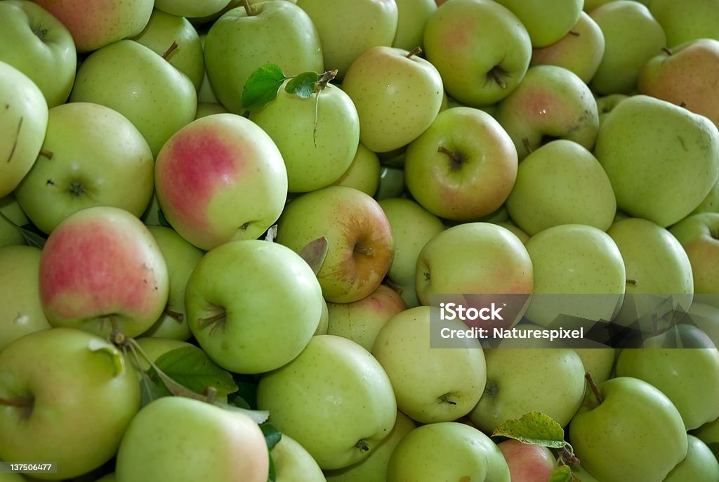 Green apples Ripe Green Apples Apple - Fruit Stock Photo