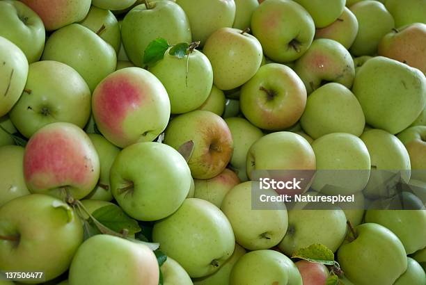 Green Apples Stock Photo - Download Image Now - Apple - Fruit, Fruit, Green Color