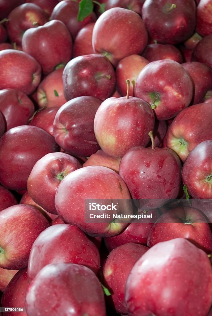 Red Äpfel - Lizenzfrei Apfel Stock-Foto