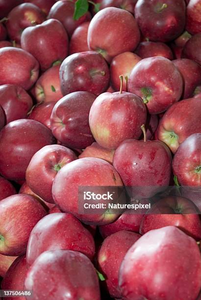 Red Äpfel Stockfoto und mehr Bilder von Apfel - Apfel, Fotografie, Gesunde Ernährung