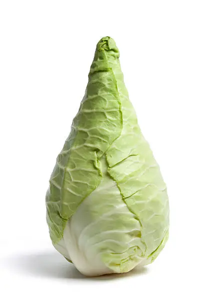 Photo of Pointed Cabbage on white background