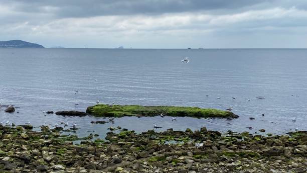 istock Seaside on a cloudy day 1375075030