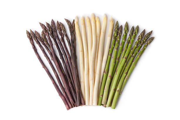 Multicolored spears of asparagus