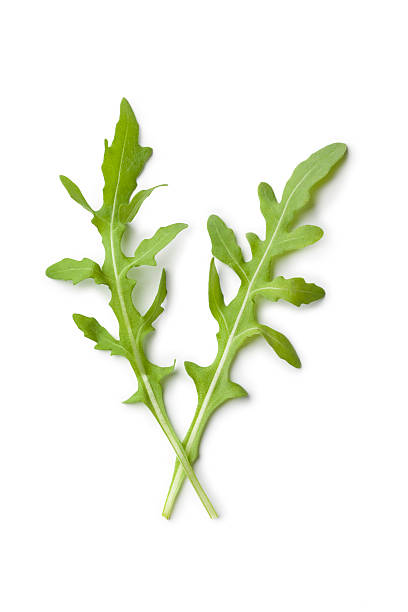 istock Two fresh green rucola leaves on white background 137508975