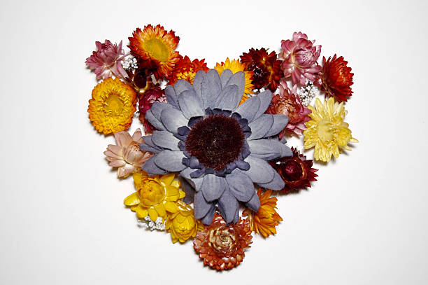 istock Heart of flowers 137509298