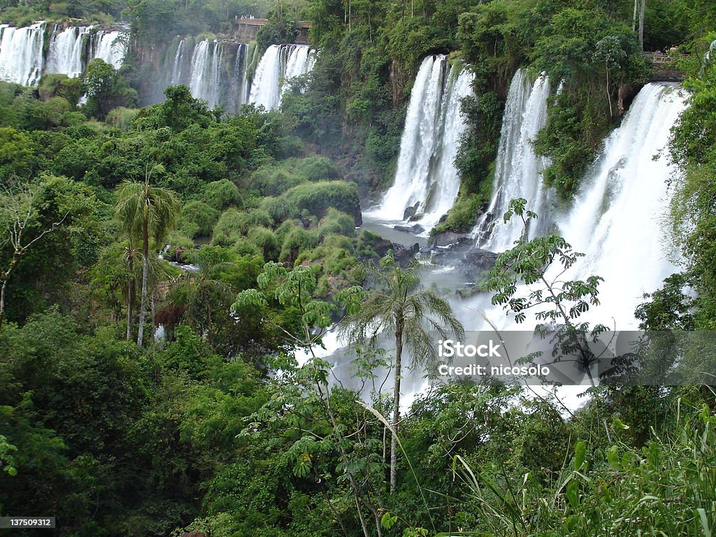 Wodospady w Iguazu - Zbiór zdjęć royalty-free (Ameryka)